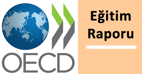 OECD eğitim raporu