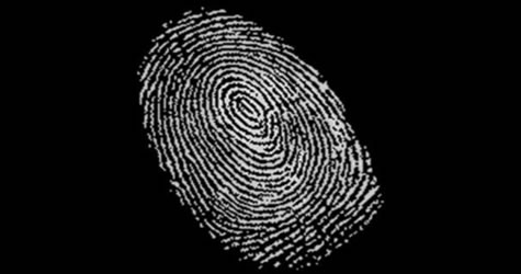 Parmak izinden cinsiyet teşhisi