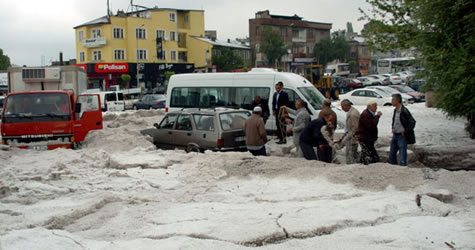 Bu fotoğraf yazın Erzurum’da çekildi