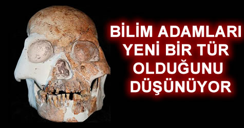 Yeni bir insan türü bulundu