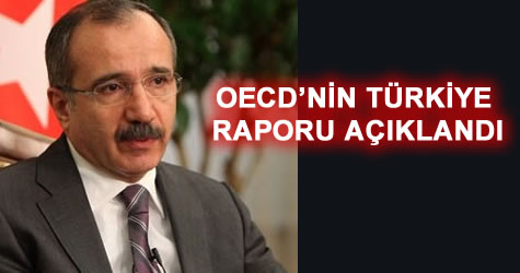 Dinçer: Türkiye’de öğretmenler az çalışıyor