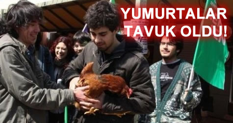 Üniversiteliler tavuklu eylem yaptı