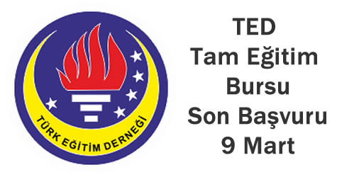 TED tam eğitim bursu