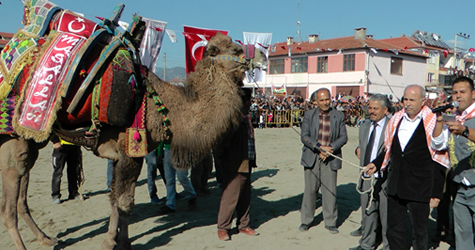 Develer eğitim için yarıştı