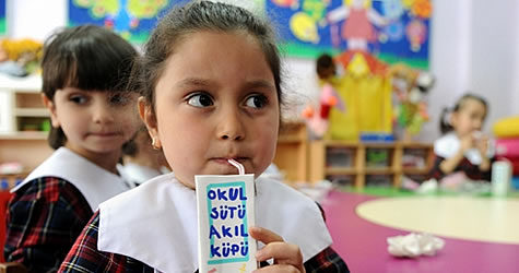 yapay süt